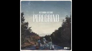 PEREGRINO - Alessandro Vilas Boas | Som do Reino - LETRA COMPLETA (LYRIC)