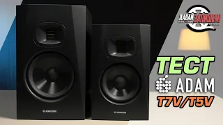 ADAM T5V and ADAM T7V active dual-band near-field audio monitors (in comparison with Yamaha HS5)