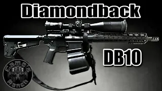 Diamondback DB10 AR-10 .308 Rifle with Vortex Strike Eagle 5-25x56 Scope Shooting Water Jugs