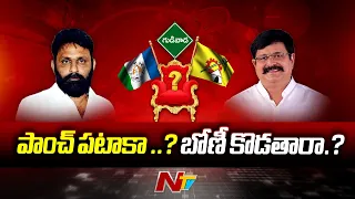 Who will Win in Gudivada : గుడివాడలో కాపుల మొగ్గు ఎటువైపు.? | Ntv