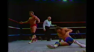 A Few Moves of Paul Orndorff’s