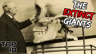 Top 10 Extinct Human Species You Were Never Supposed To Learn About - Part 3