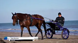 Readly Express på Utah Beach