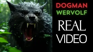 Реальные Оборотни Снятые на Камеру - 17 минут Ужаса | Dogman, werewolf