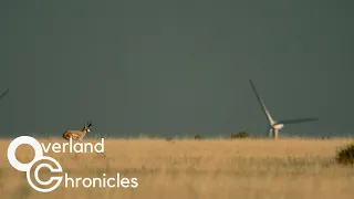 Antelope Education | Overland Chronicles