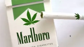 Hoax: Marlboro Marijuana Cigarettes: