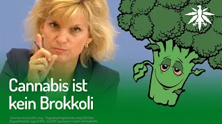 Cannabis ist kein Brokkoli | DHV-News #255