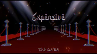 TPP Cata - Expensive (Official Visualizer) prod. by @_rvdu