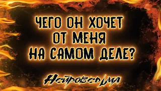 Чего он хочет от меня НА САМОМ ДЕЛЕ? | Таро онлайн | Расклад Таро | Гадание Онлайн