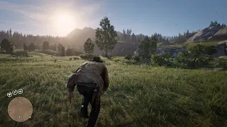 Arthur's final challenge in Chapter 2 of Red Dead Redemption 2