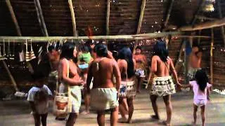 baile de la tribu boras -iquitos