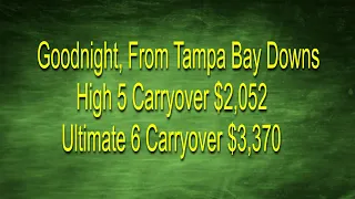 Tampa Bay Downs Live Stream