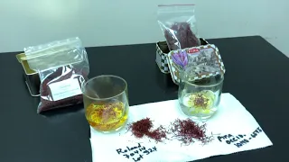 Water Test for Saffron Purity 4/29/19