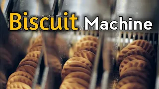 Biscuit Machine Automatic |  Biscuit Maker | Business Ideas