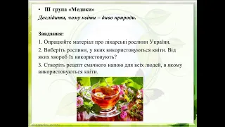 Міжпредметна інтеграція на уроках біології та екології Українська ЗОШ І-ІІІ ступенів № 12