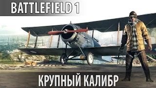 Battlefield 1  —  Аэроплан:  Крупный калибр