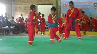 Tapak Suci Pencak Silat KID KO