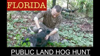 HOG Hunting PUBLIC LAND in Florida! {The Remington 30-06 eats again}