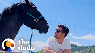 Guy Is So Nervous To Meet His Girlfriend's Horse | The Dodo
