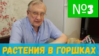 #3 Растения в горшках на дне аквариума. Технология / Аквариумистика с Геннадием Посейдонычем