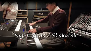 Night Birds / SHAKATAK [Cover]