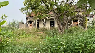 SHOCKED TRANSFORMATION in front of a 200-year-old abandoned house CLEAN UP overgrown GRASS for free