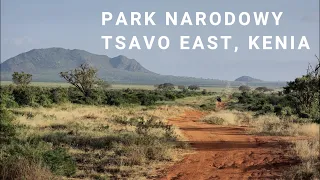 PARK NARODOWY TSAVO EAST, KENIA