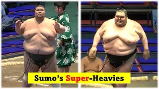 Sumo's super heavies: 248kg Dewanojo & 238kg Kenho