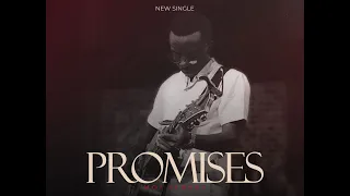 Promises - Moi Albert