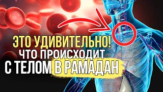 ЭТО УДИВИТЕЛЬНО! ПОЧЕМУ МУСУЛЬМАНЕ ДЕРЖАТ ДЕРЖАТ ПОСТ В РАМАДАН? Польза поста для тела | Dawah Медиа