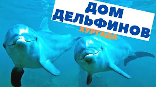 ДОМ ДЕЛЬФИНОВ ХУРГАДА ЕГИПЕТ- плаваем с дельфинами в Красном море!