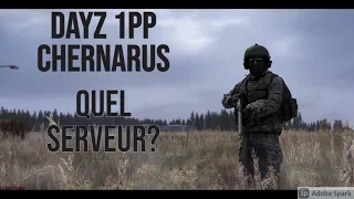 [PC] DayZ. FR 1PP. Chernarus. Quel serveur choisir?