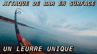 PÊCHE du BAR avec un leurre de SURFACE MAGNIFIQUE