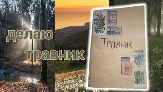 делаю травник 🌾