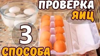 КАК ПРОВЕРИТЬ ЯЙЦА НА СВЕЖЕСТЬ. 3 способа как проверить яйца