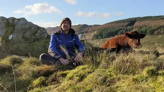 Low-input Farming in the Uplands: Gowbarrow Farm, Cumbria (4/8)