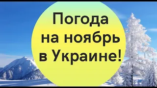 Погода в Украине в ноябре: синоптики рассказали, когда ожидать первого снега!