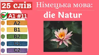 Німецька мова A1 #11 - 25 слів, die Natur/природа.✍️Німецька мова з нуля. Вчити німецьку мову.