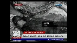 24 Oras: Babae, nilamon nang buo ng malaking sawa