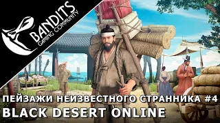 Прохождение дневника Пейзажи Неизвестного Странника "Глава 4" в Black Desert Online