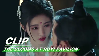 Clip: Ju Jingyi Apologizes And Kisses Zhang Zhehan | The Blooms At RUYI Pavilion EP22 | 如意芳霏 | iQIYI