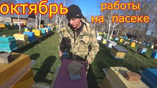 ОБРАБОТКА от КЛЕЩА! Сила СЕМЕЙ в ЗИМУ! ПАСЕКА в ОКТЯБРЕ