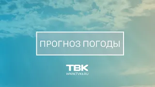 Прогноз погоды в Красноярске с 25 по 31 июля