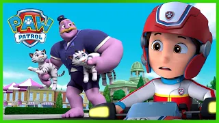 Tlapková patrola zastavuje obřího Humdingera a další! - Tlapková Patrola PAW Patrol pohádky pro děti