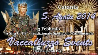 CATANIA - Sant'AGATA V.M 2014 - VACCALLUZZO EVENTS (Night Show)