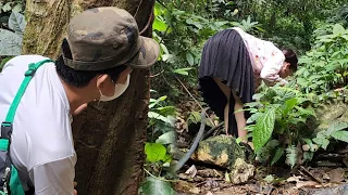 FULL VIDEO : 60 days poor girl survived in the jungle _ lived off the grid _ built a new life