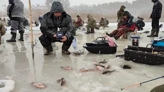 ТУТ ЗБИЛАСЬ ВСЯ РИБА, Клює один за одним, Рибалка на карася та коропа