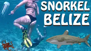 BEST SNORKEL in the World: BELIZE, Caye Caulker