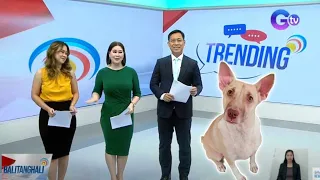 Ang Galing at GoodVibes daw si Theo sabi ng GMA News Balitanghali