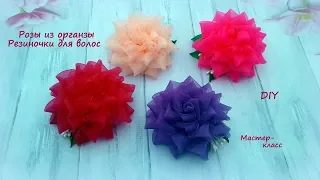 Ажурная роза из органзы. Резиночки для волос. Канзаши /МК/Hand мade/DIY/ Kanzashi